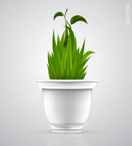 White flowerpot with green grass — Stock Vector