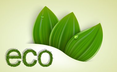 yaprakları ve çim yeşil arka plan