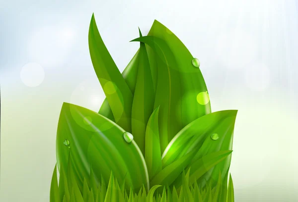 Fondo verde con hojas y hierba — Vector de stock