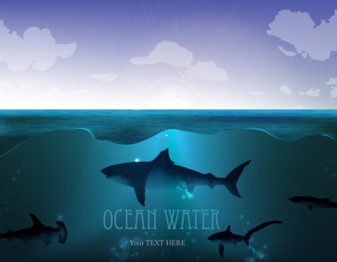 köpekbalığı okyanus su