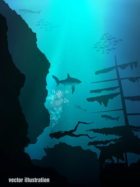 Köpekbalığı okyanus su — Stok Vektör