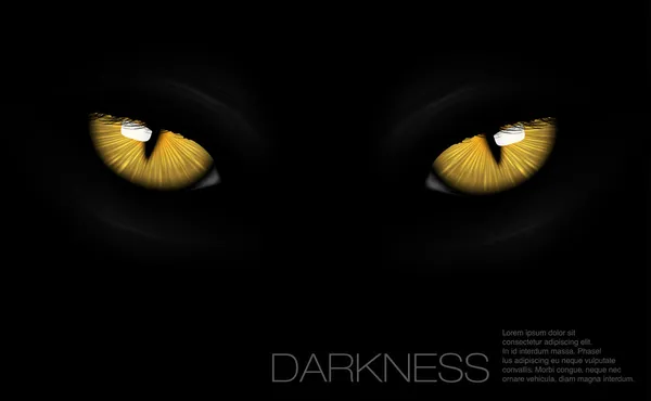 Cat yellow eyes on black background — Stock Vector