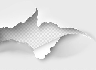 Saydam arkaplanda yırtık bir kağıt parçası yırtılmış