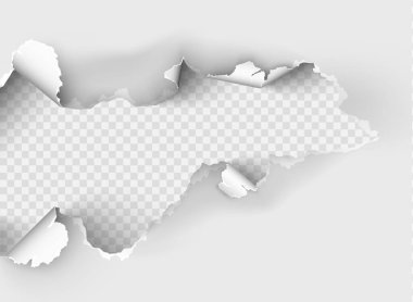 Saydam arkaplanda yırtık bir kağıt parçası yırtılmış