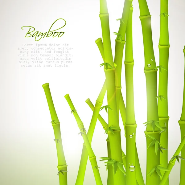 Bakgrund till bambu — Stock vektor