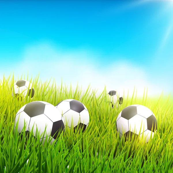 Soccer balls in the grass — Stock Vector