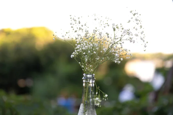 Einfaches Kein Wirres Boho Tischbouquet — Stockfoto