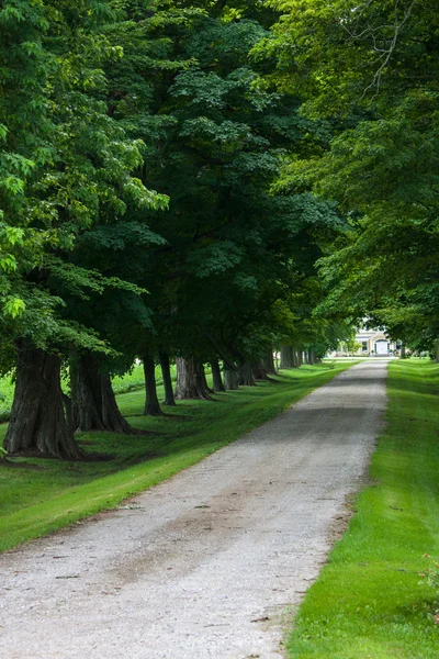 Zomer laneway — Stockfoto