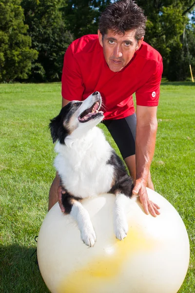 Cão de ioga olha para treinador — Fotografia de Stock