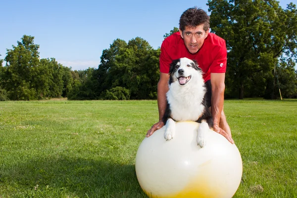 Yoga bola cão formação — Fotografia de Stock