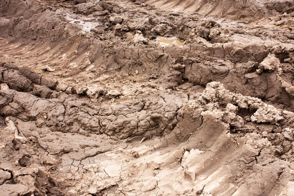 Huellas en el barro — Foto de Stock