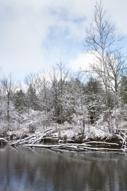 Frosty winter scene vertical clipart