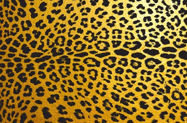 Gold leopard for background — Stock Photo, Image