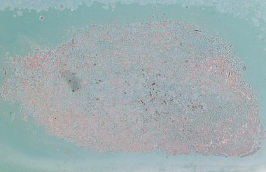 eski renk hasar araba boya