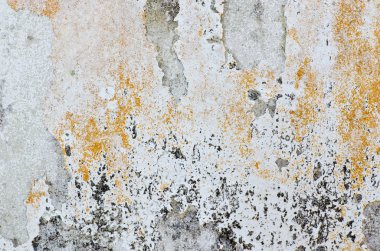 paslı eski beyaz renkli duvar