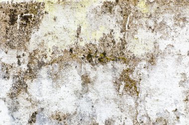 arka plan için eski beyaz boya hasar배경에 대 한 백색 오래 된 페인트를 손상