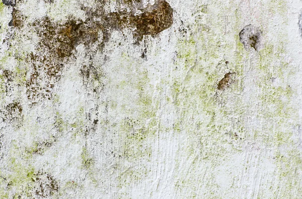 Beyaz duvar kirli paslı boya — Stok fotoğraf