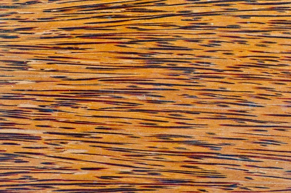 Closeup pattern of coconut wood — Stock Photo, Image