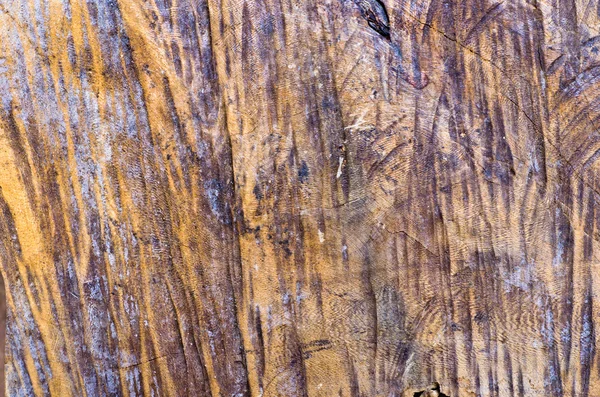 Scratch kár fa felszíni Vértes háttér — Stock Fotó