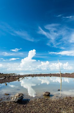Su yansıması ile güzellik mavi gökyüzü