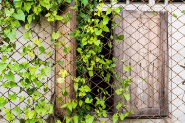 paslı eski cam çelik çit arkasındaki
