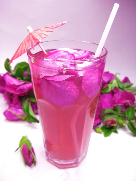 Bebida de chá de cocktail de soco com rosa selvagem — Fotografia de Stock