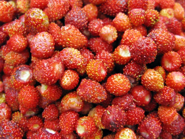 Walderdbeeren Früchte Dessert Hintergrund — Stockfoto
