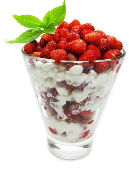 Dessert alla fragola selvatica con yogurt — Foto Stock