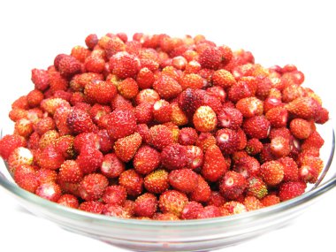 Wilde aardbeien bessen vers fruit dessert