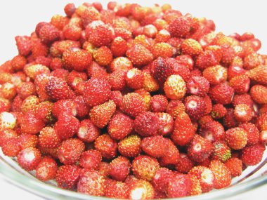 Wilde aardbeien bessen vers fruit dessert