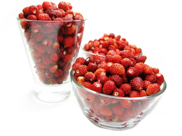 Wilde aardbeien bessen fruit dessert — Stockfoto