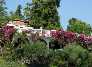 lüks otel binası bahçesinde bulunan çiçek