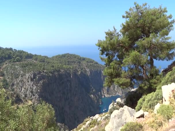 Garganta profunda del valle de las mariposas en el pavo marino mediterráneo — Vídeo de stock