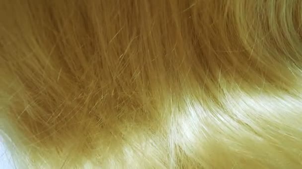 Resalte fondo de textura de cabello rubio — Vídeos de Stock