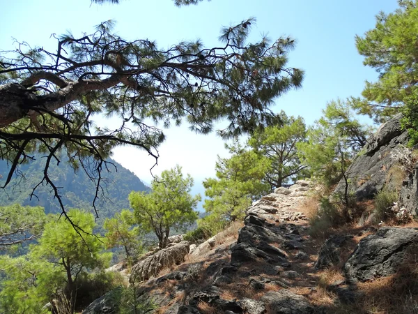 跟踪在高山土耳其的道路 — 图库照片