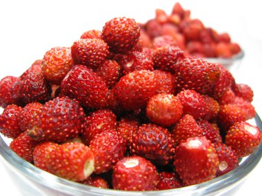 Wilde aardbeien bessen vers fruit dessert