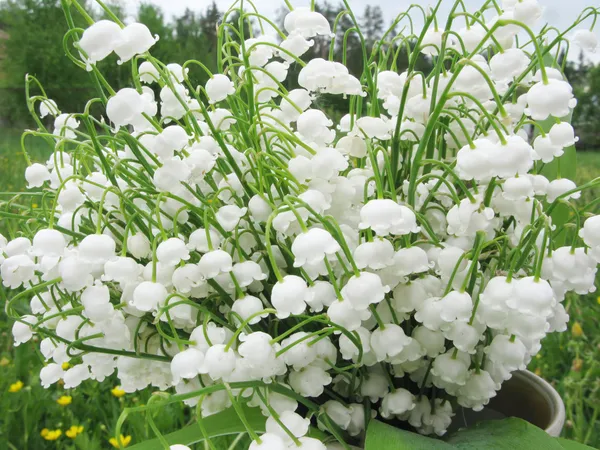 Boeket van lily of the valley bloemen — Stockfoto