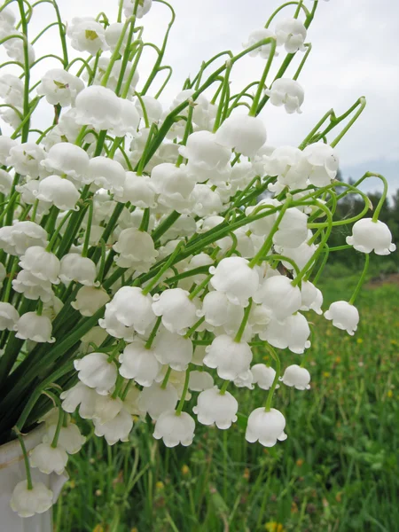 Bouquet de lys des fleurs de la vallée — Photo