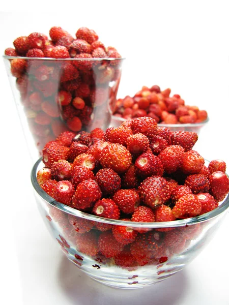 Walderdbeeren Früchte Dessert — Stockfoto