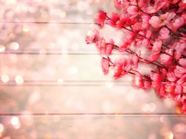 Baharın arka planında çiçek açan sakura kiraz çiçekleri çiçek açan çiçek doğası ve soyut bokeh                    