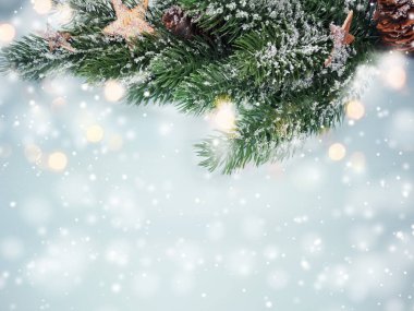 Kış Noel arkaplanı köknar dalları koniler ve mavi ahşap dokuda kar                              