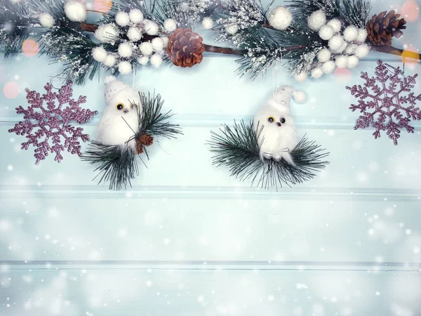 크리스마스의 뒷배경에는 전나무 원추체와 질감에 — 스톡 사진