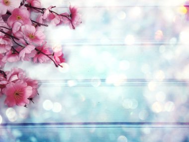 Baharın arka planında çiçek açan sakura kiraz çiçekleri çiçek açan çiçek doğası ve soyut bokeh                    