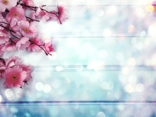 Baharın arka planında çiçek açan sakura kiraz çiçekleri çiçek açan çiçek doğası ve soyut bokeh                    