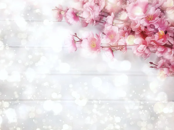 Vår Backgroung Blommande Sakura Körsbär Blommor Blomma Blommig Natur Och — Stockfoto