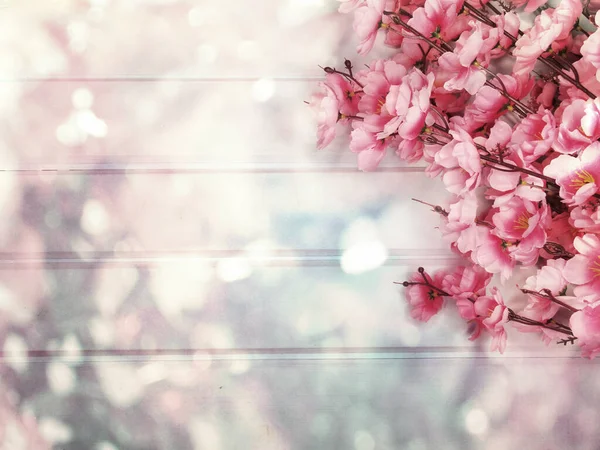 Tavasz Háttér Virágzó Sakura Cseresznyevirág Virágos Virág Természet Elvont Bokeh — Stock Fotó