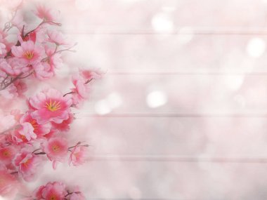 Baharın arka planında çiçek açan sakura kiraz çiçekleri çiçek açan çiçek doğası ve soyut bokeh                    