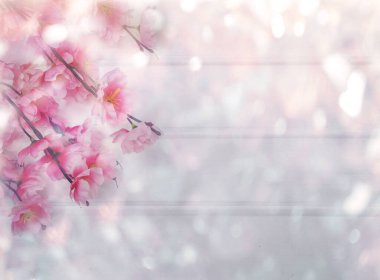 Baharın arka planında çiçek açan sakura kiraz çiçekleri çiçek açan çiçek doğası ve soyut bokeh                    