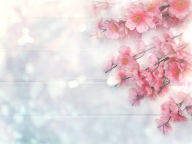 Baharın arka planında çiçek açan sakura kiraz çiçekleri çiçek açan çiçek doğası ve soyut bokeh                    