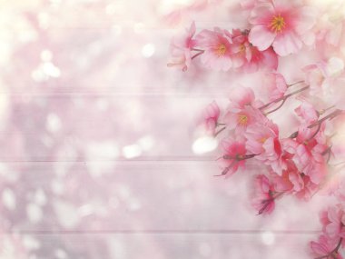 Baharın arka planında çiçek açan sakura kiraz çiçekleri çiçek açan çiçek doğası ve soyut bokeh                    